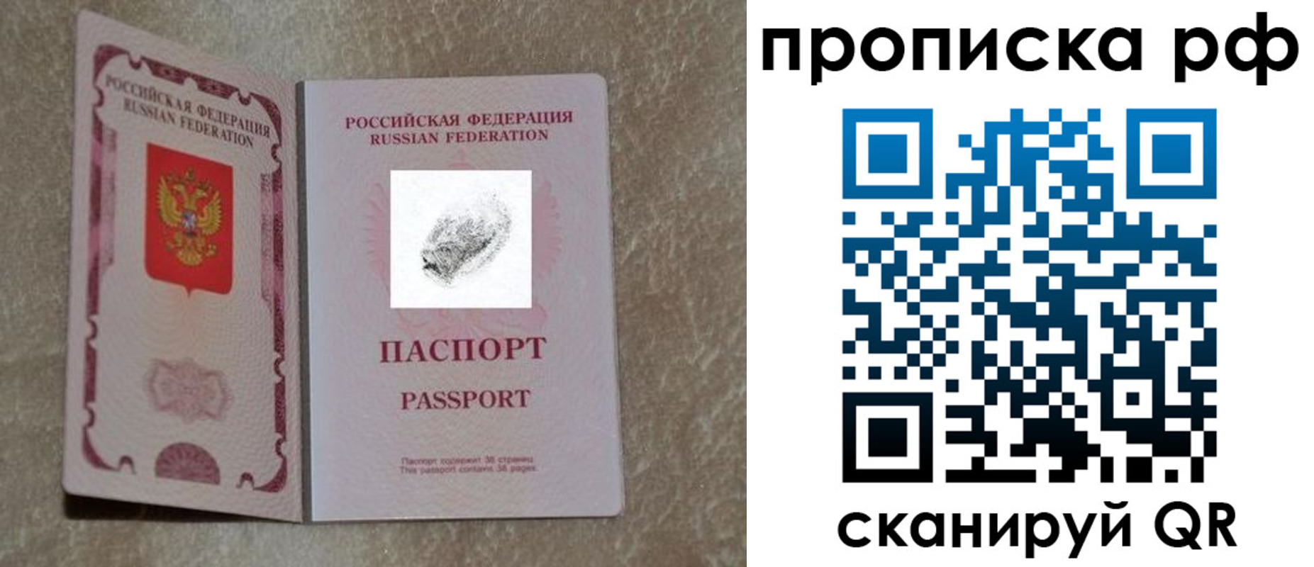 прописка поиск в Отрадном